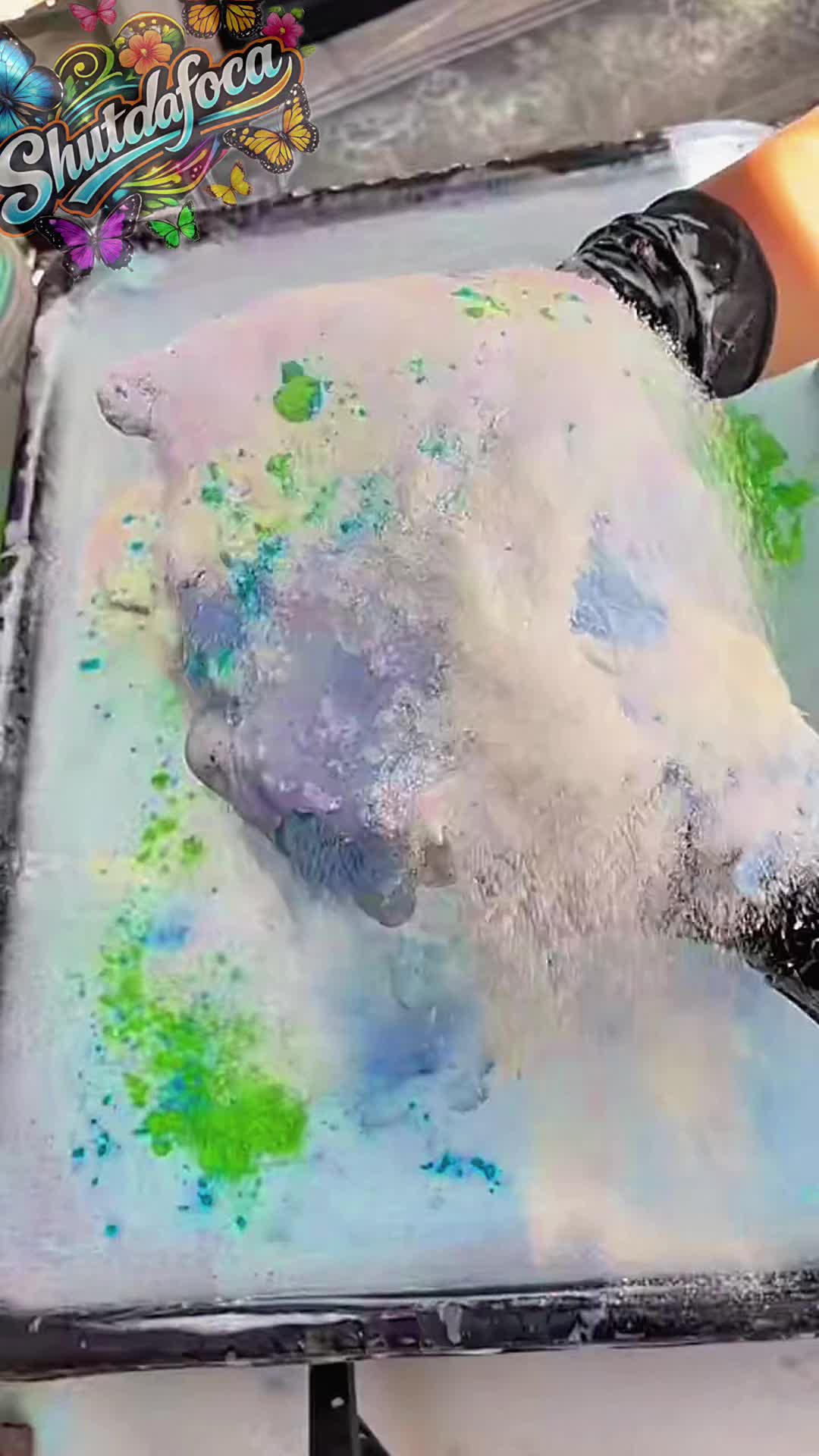 @shutdafoca