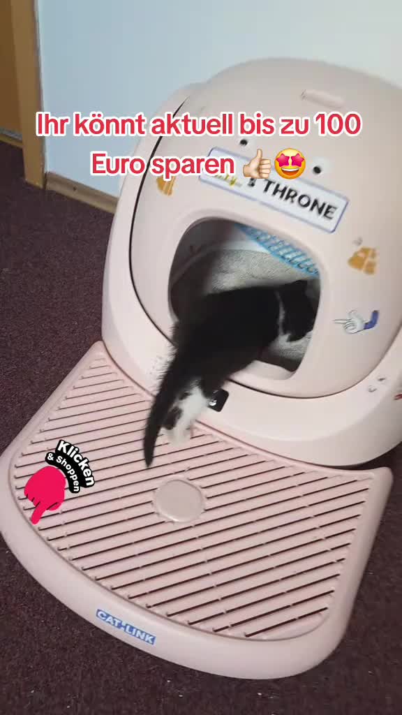@Maria Omeirat