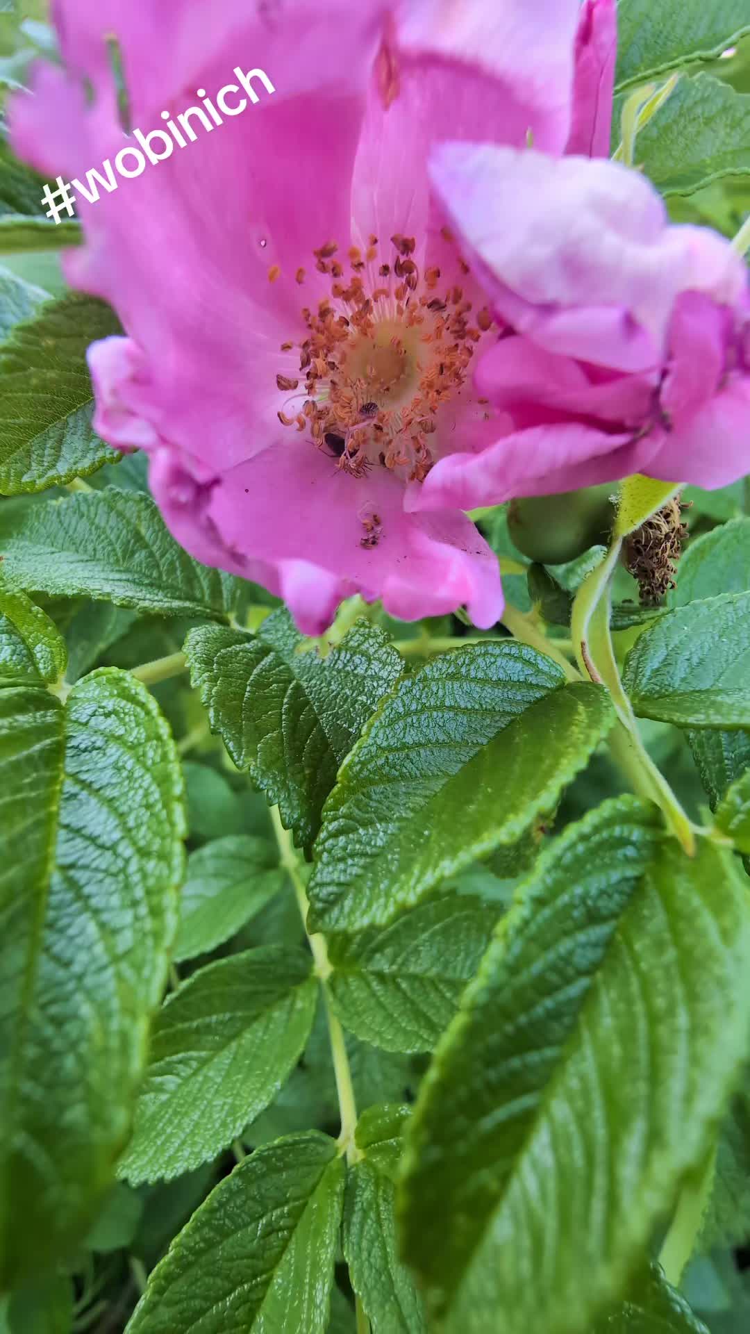 @⛵🧭⚓Küstenlümmel⚓🧭⛵