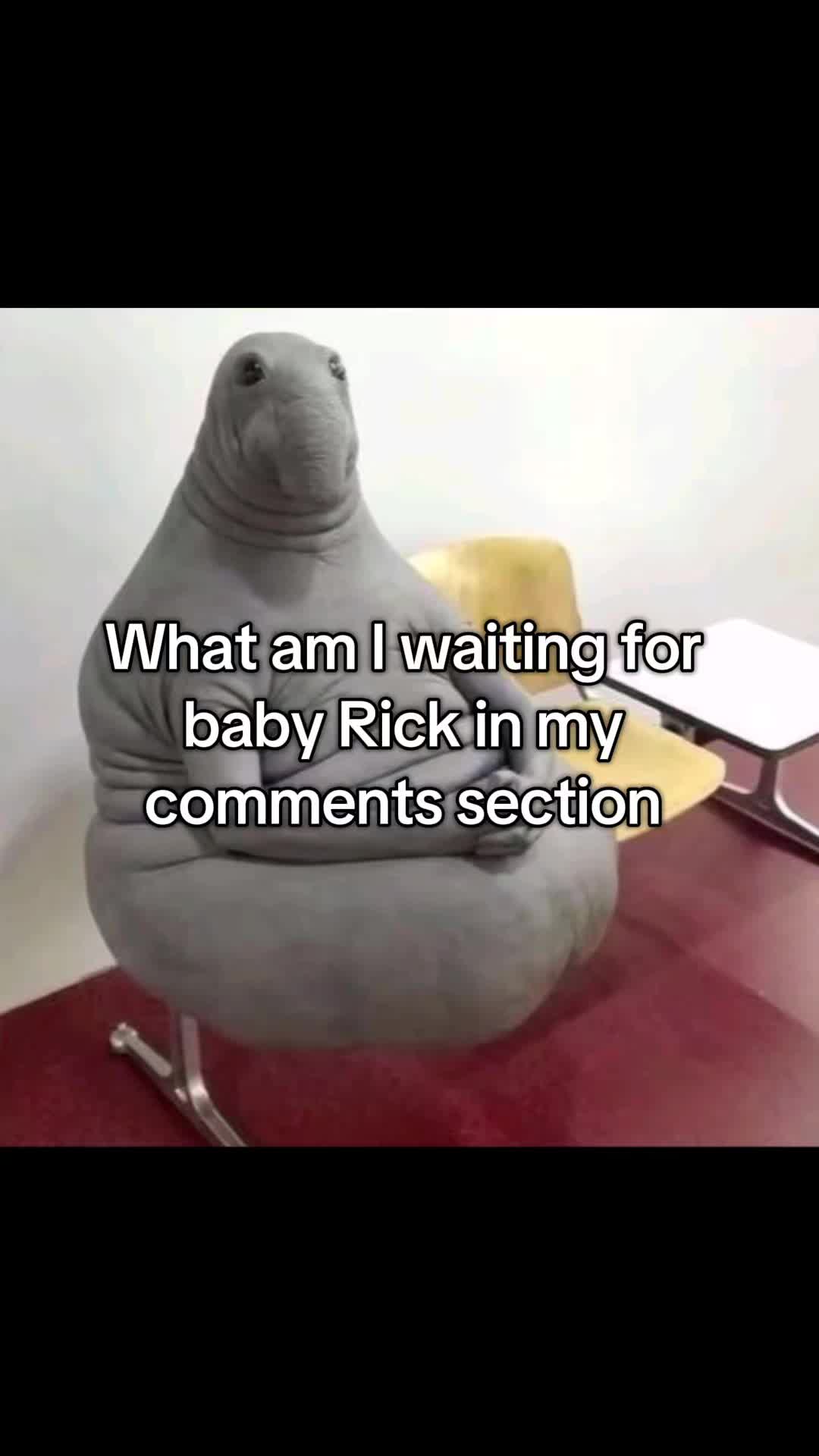 @MX_pingu