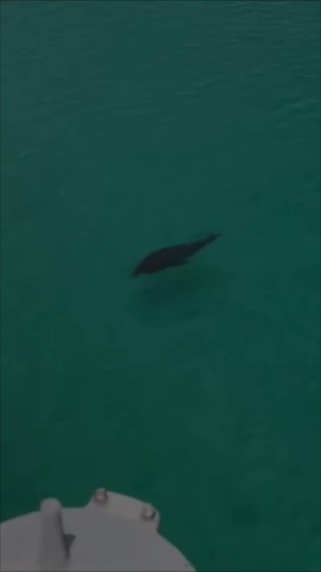 @OkaloosaIslandPier