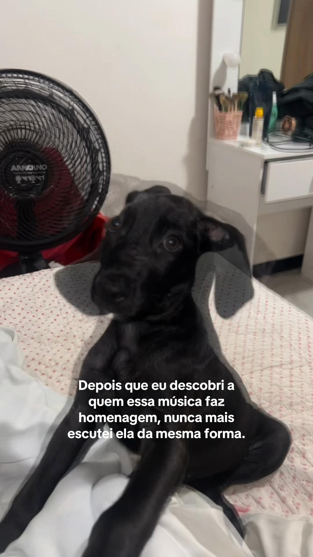 @S