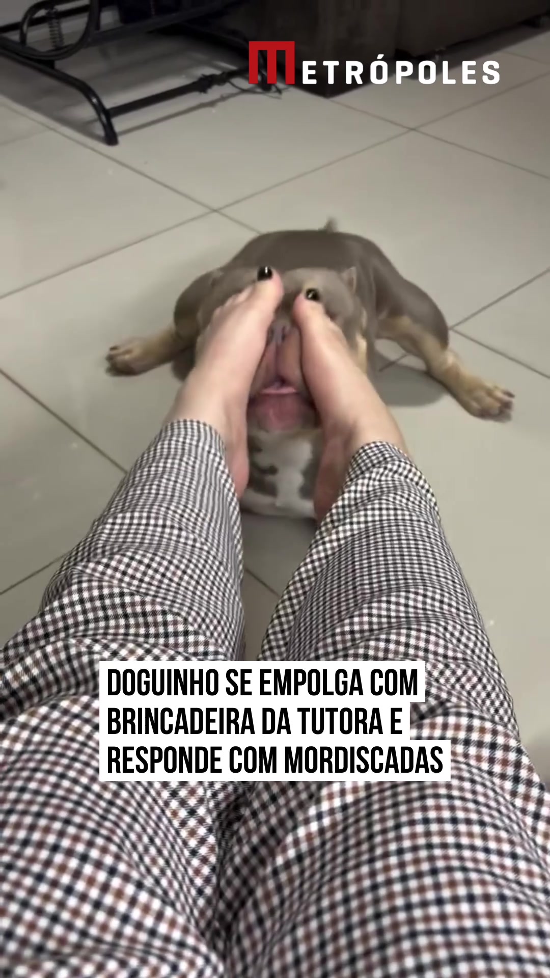 @Metrópoles Oficial