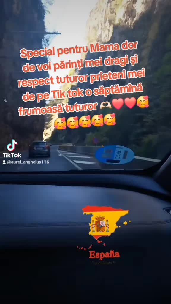 @Aurel Anghelus_22