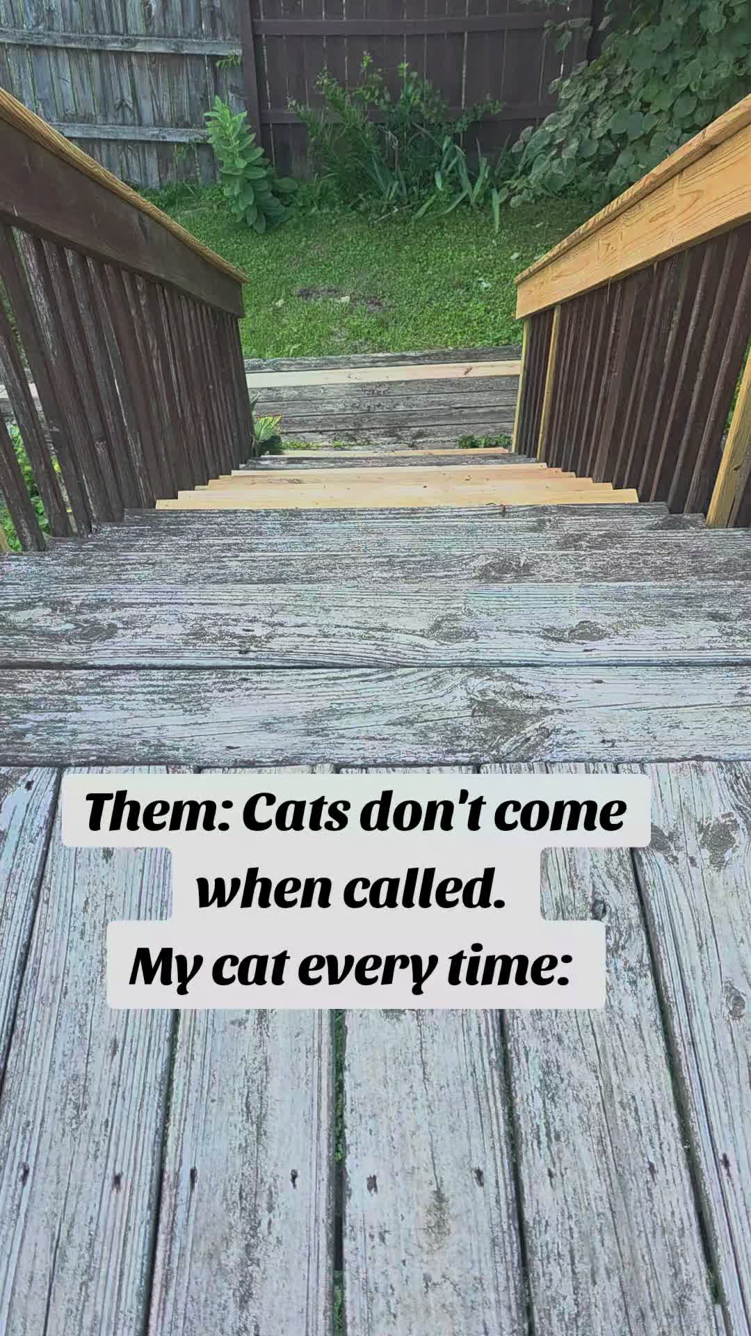 @Dr. Melissa Carver