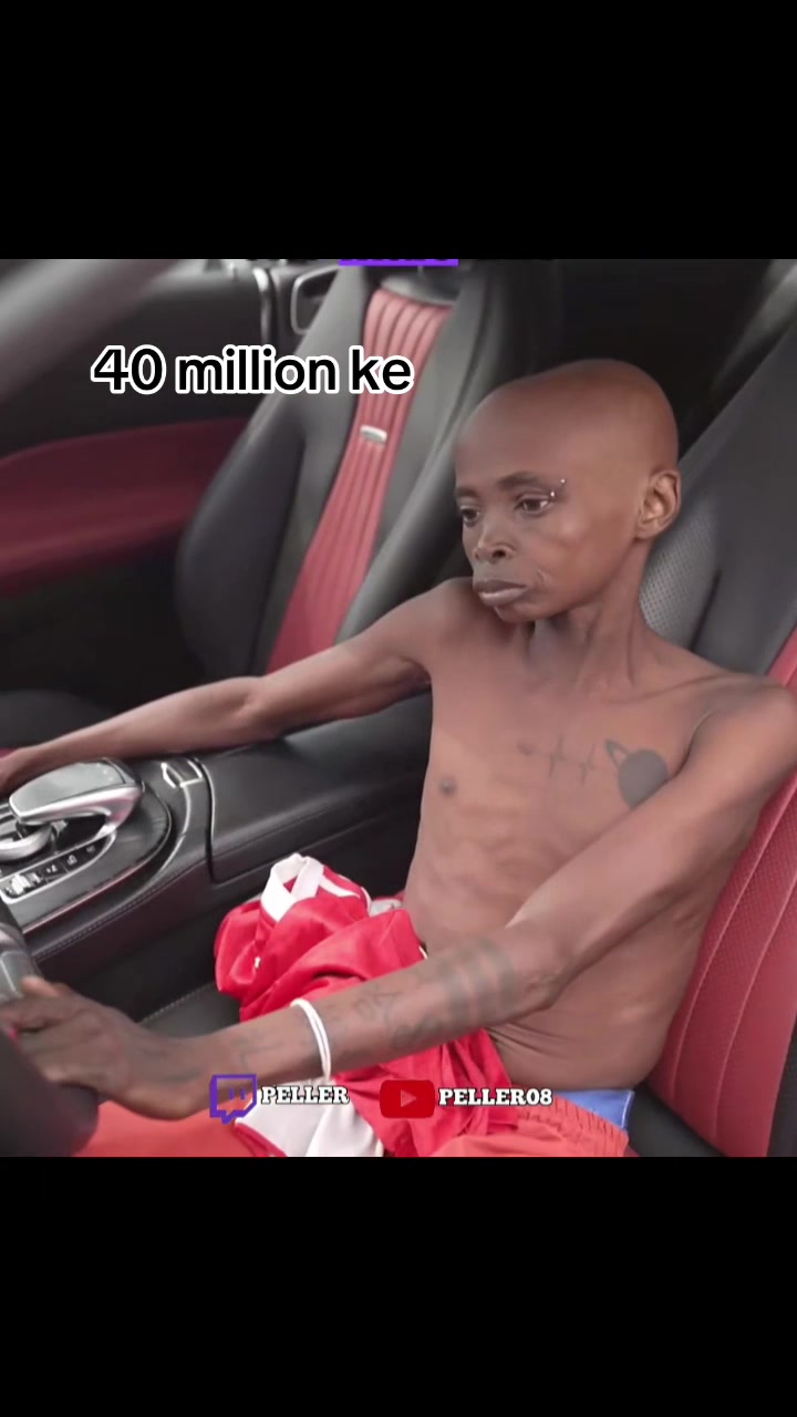 @Avalonclipsit