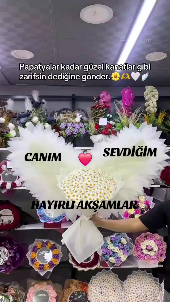 @Hasan Yılmaz