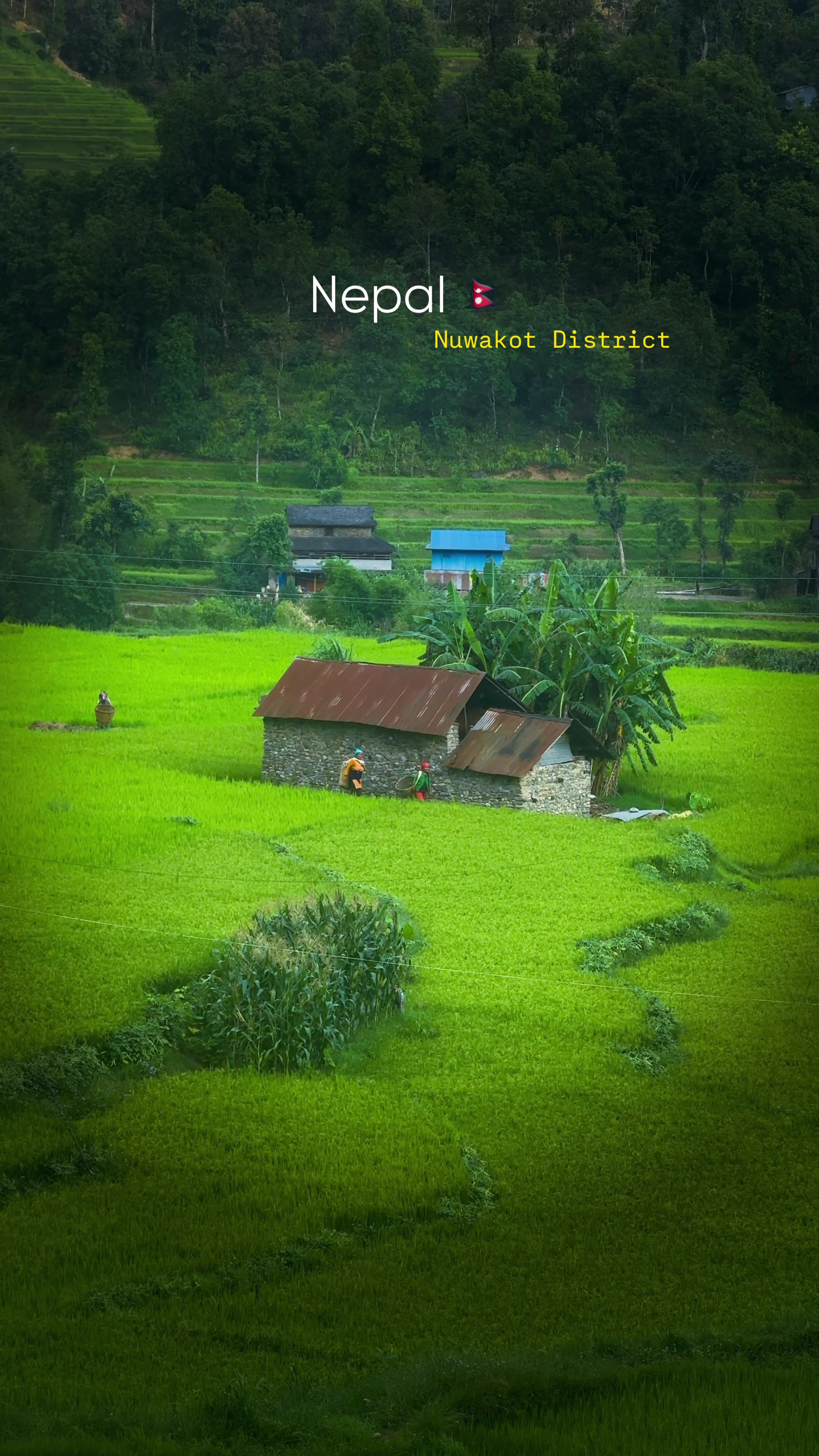 @Sudarshan Neupane
