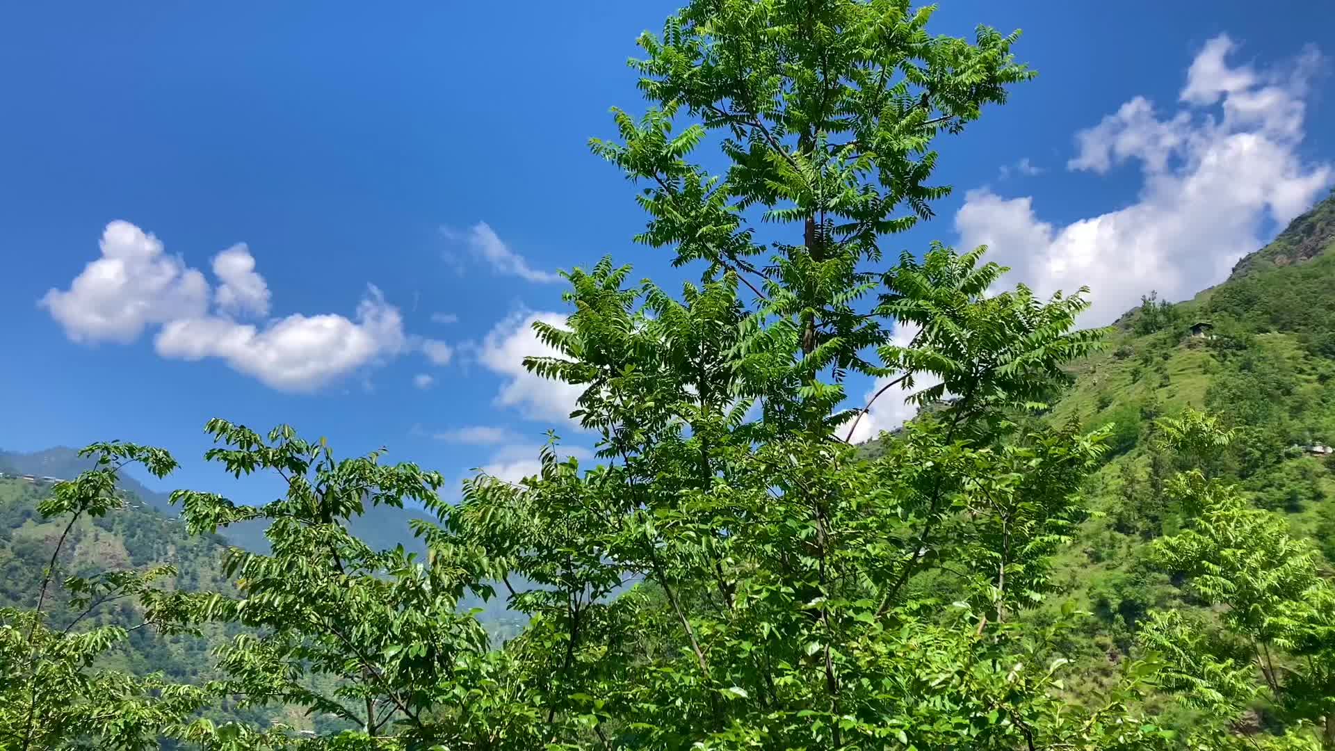 @ꜱ ᴀ ɪ ꜰ ࿐