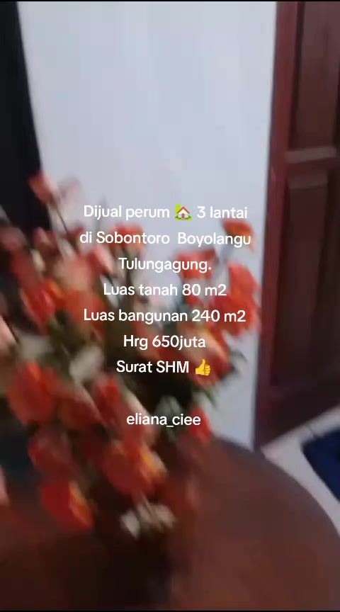 @eliana