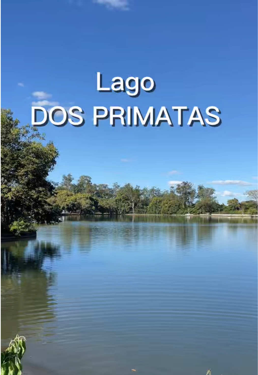 @JDM A NATUREZA EM AÇÃO