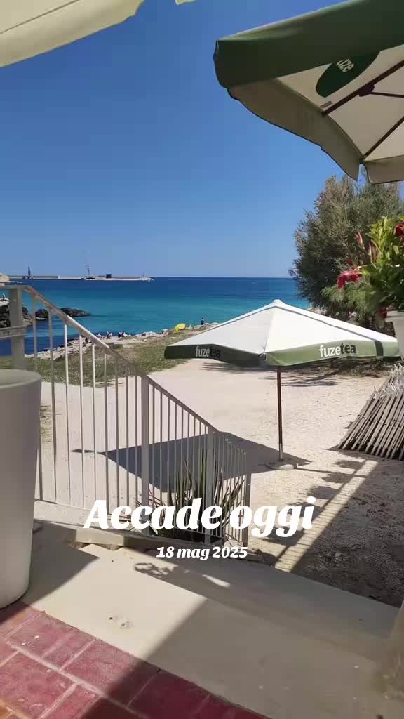 @Celeste Cendamo