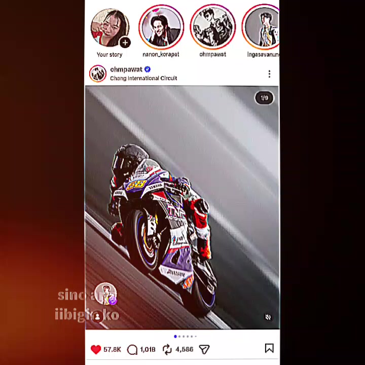 @Bell_on_ig✅