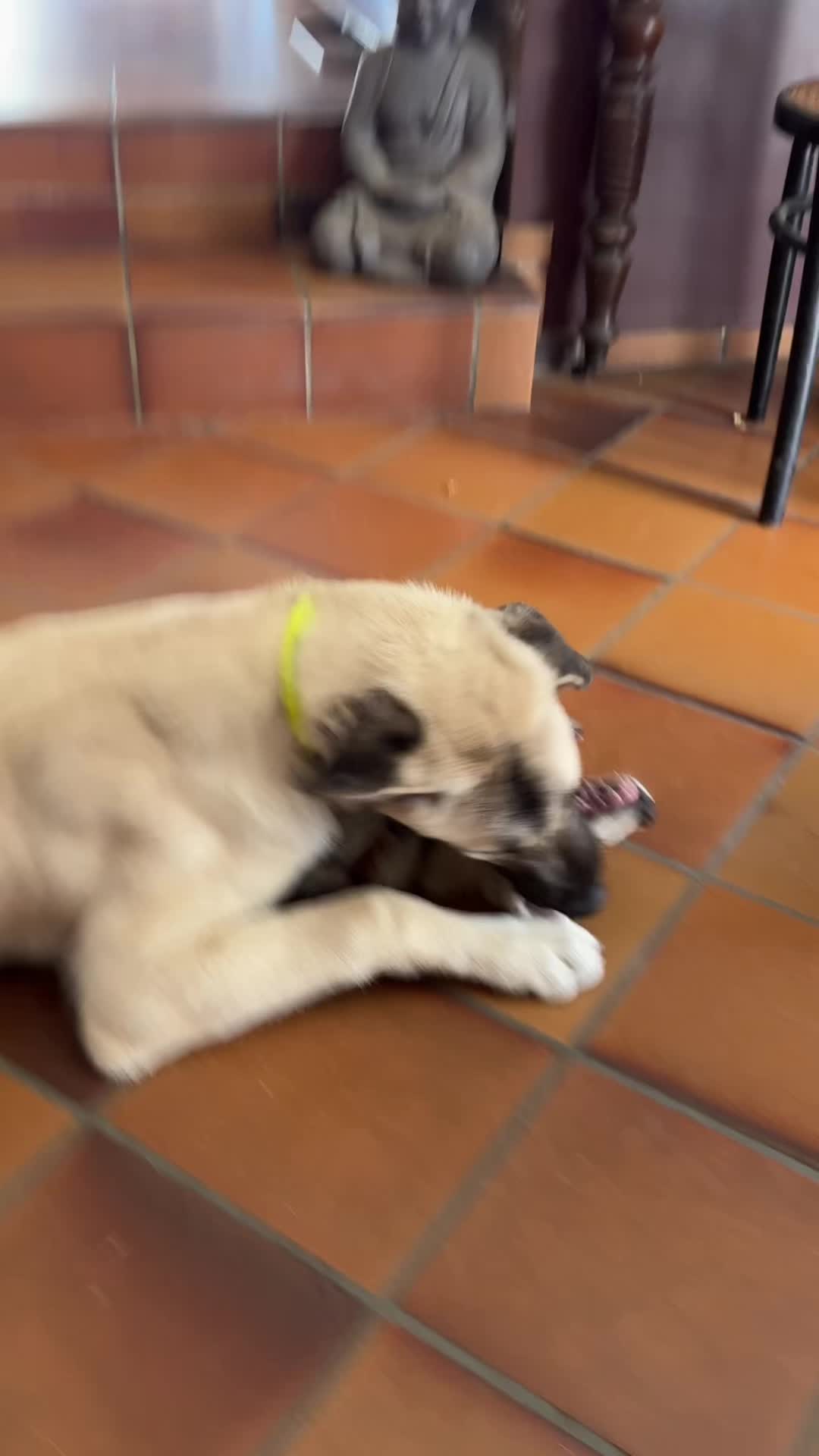 @Purekangal
