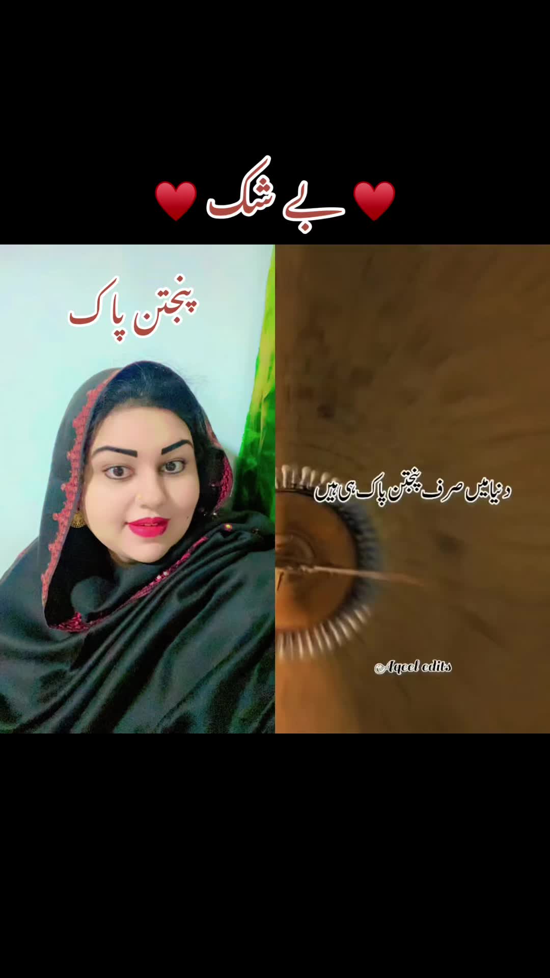@8️⃣0️⃣4️⃣ Gulabo Habibi 🌹🌹🌹