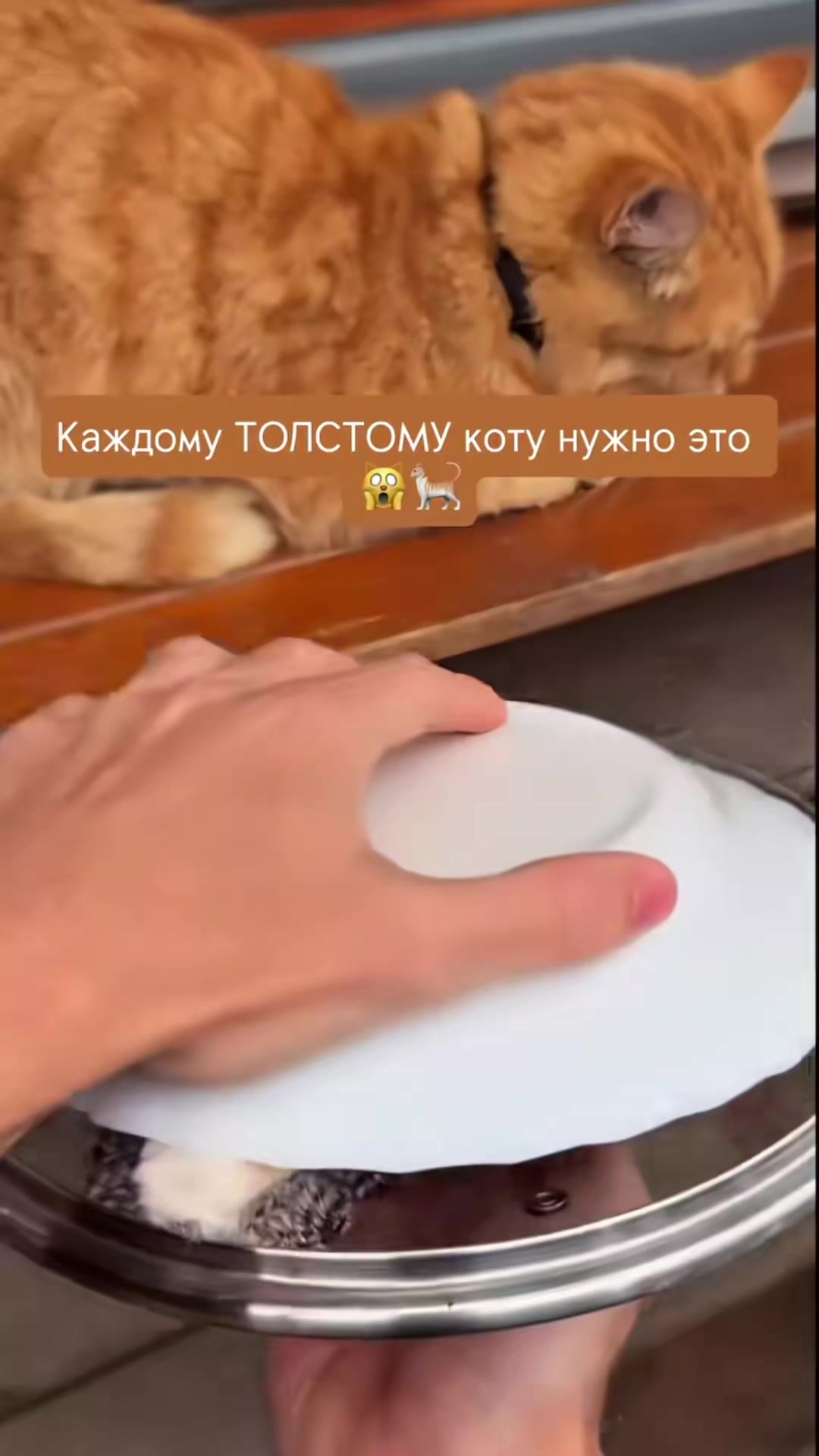 @Александр ALEXPND 13