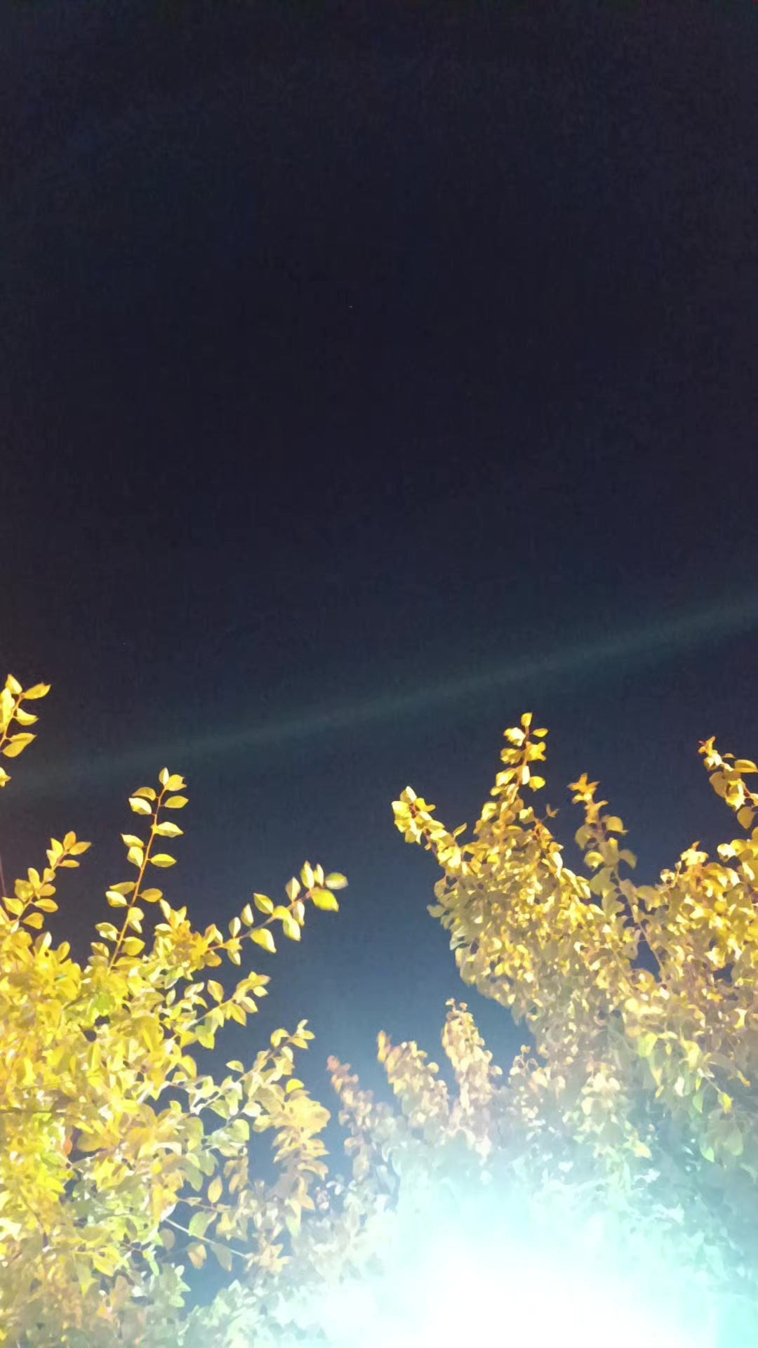 @muro62