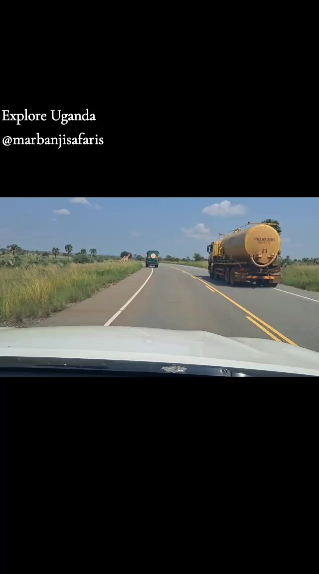 @marbanjisafaris