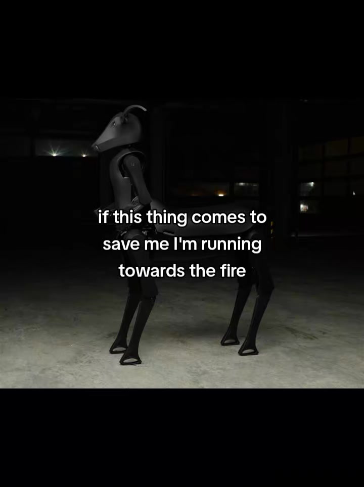 @ꈍ◡ꈍ