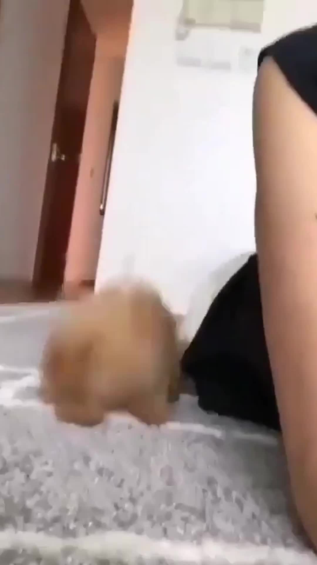 @CosmicCrystal