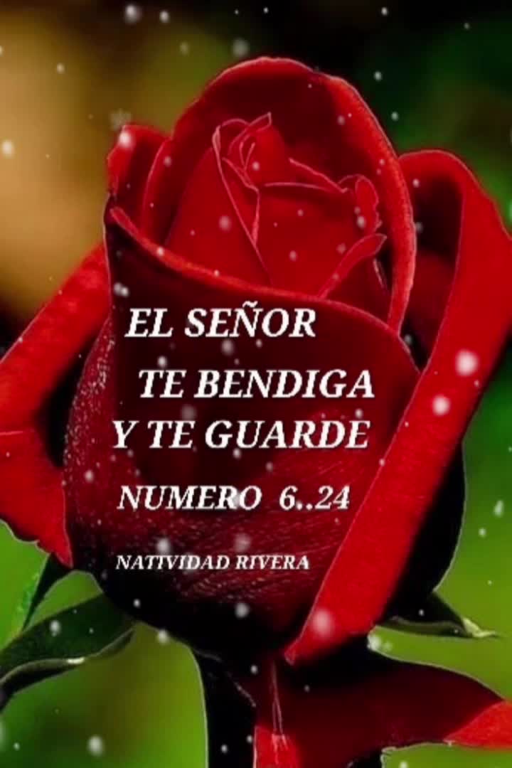 @mayra gracia❤️❤️