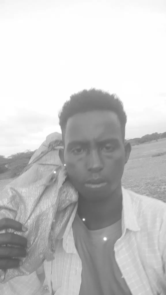 @xarakeye muuse