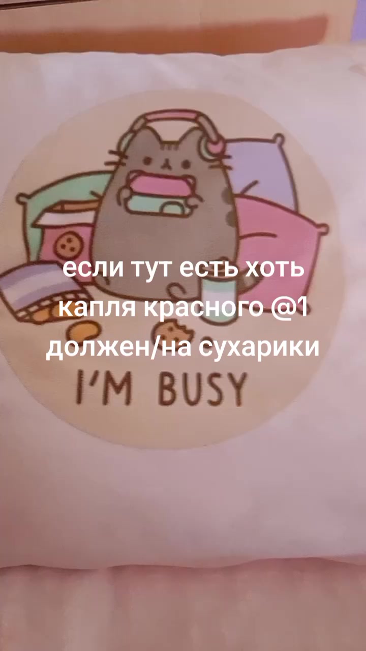 @amaliakot