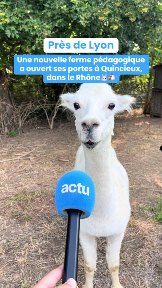 @actu Lyon