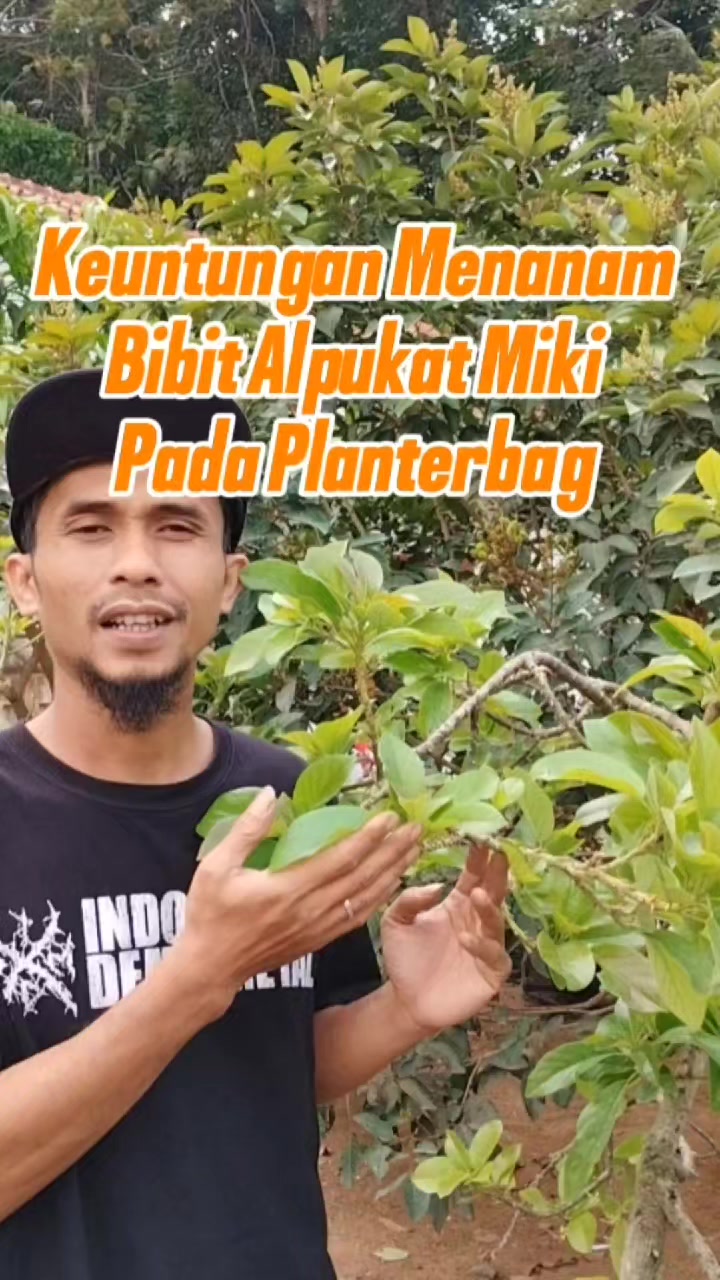 @Bukit Farming