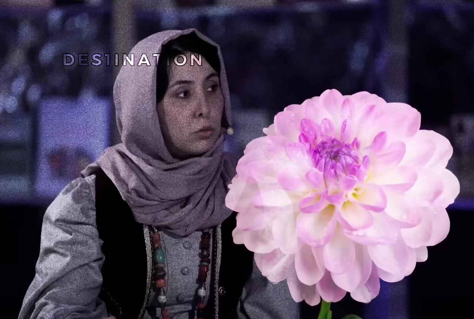 @جێمەبەست