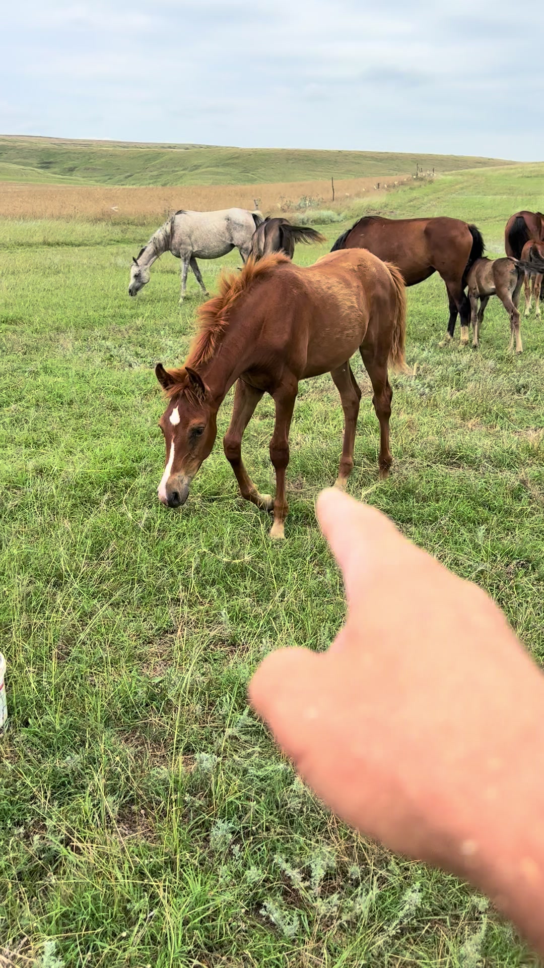 @MakvinStud