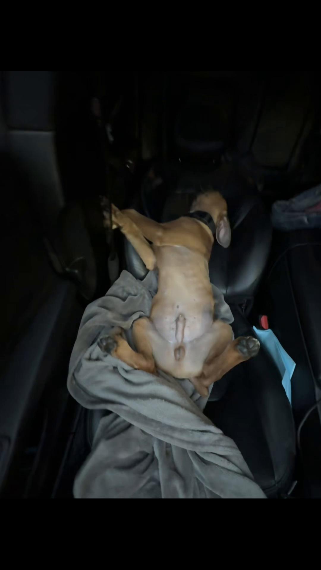 @CC.Corsos