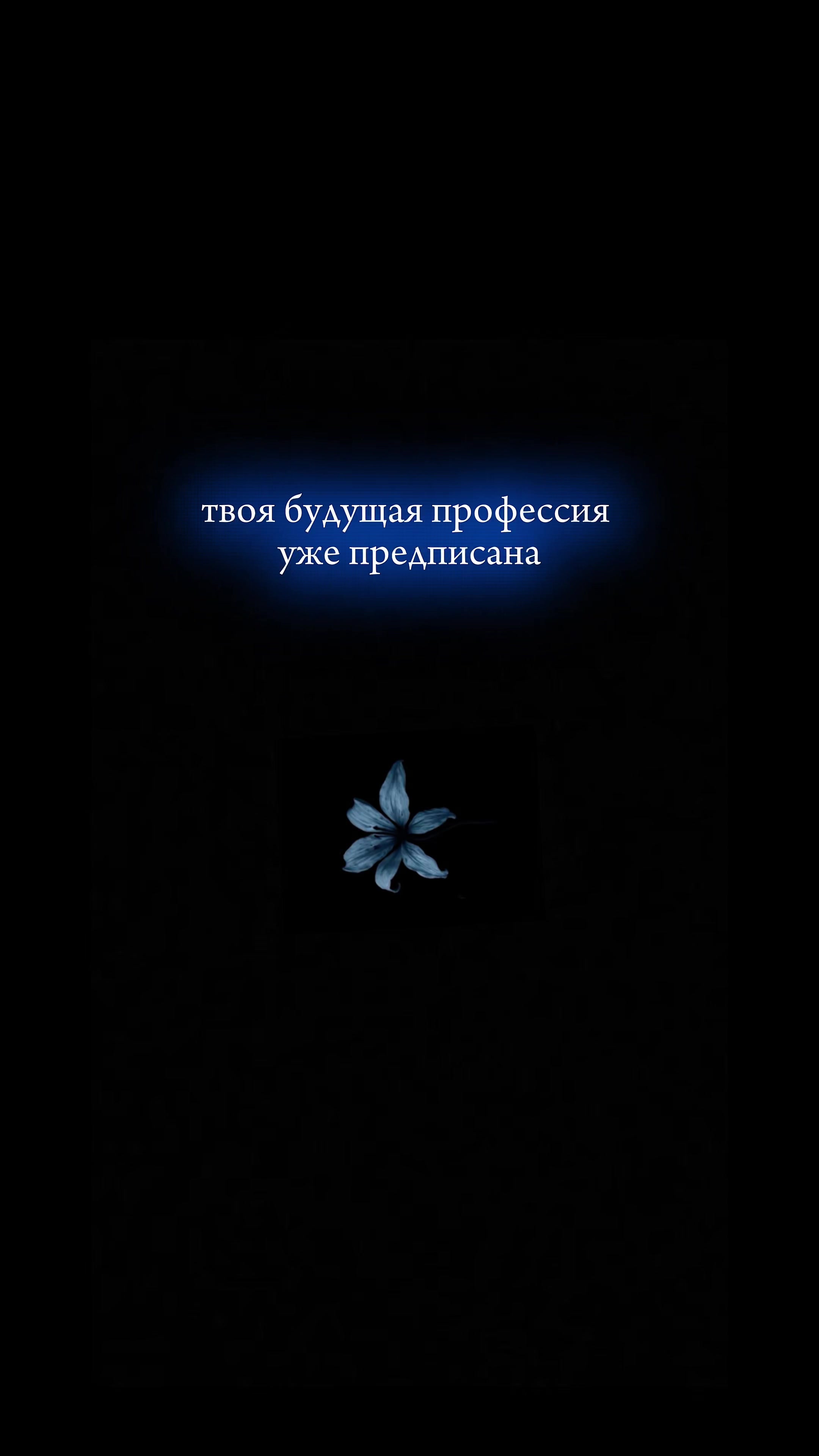 @★ваша ухтишка★