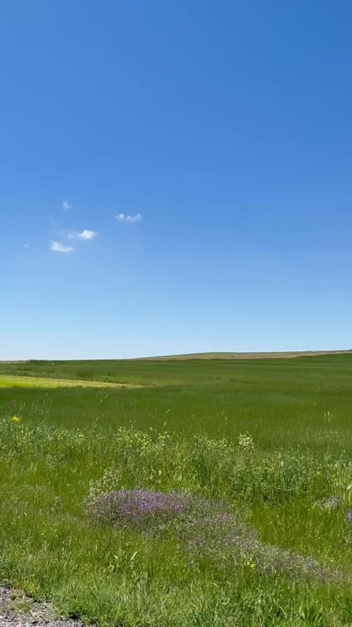 @bir g&uuml;nes