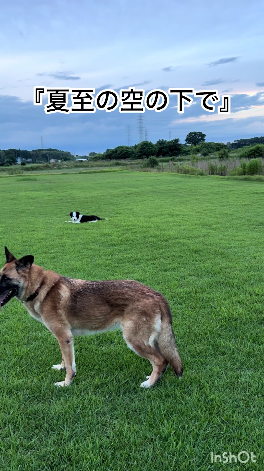 @ミウラ•リョーコ(イーツカ•リョーコ)