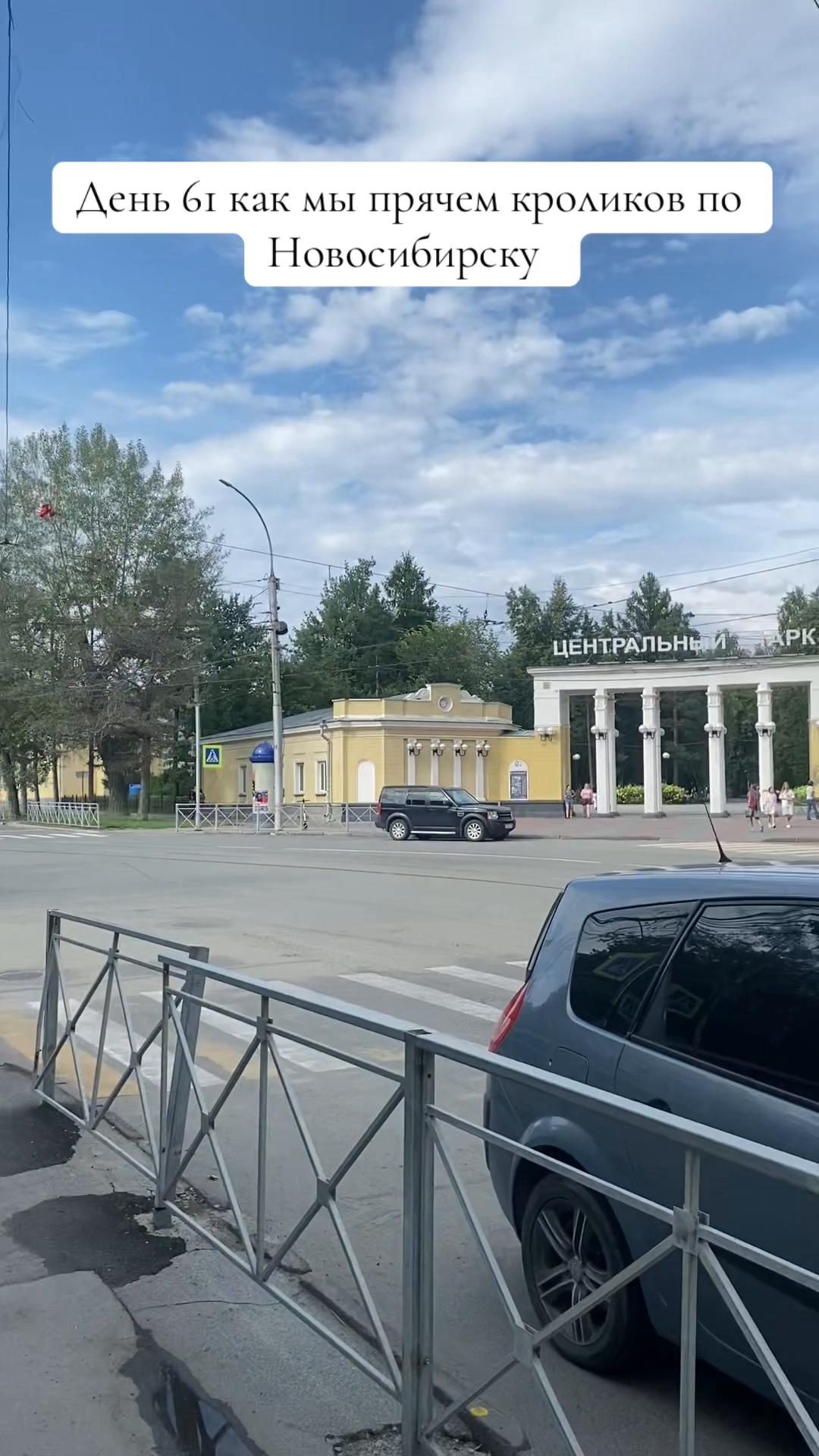 @Кролики