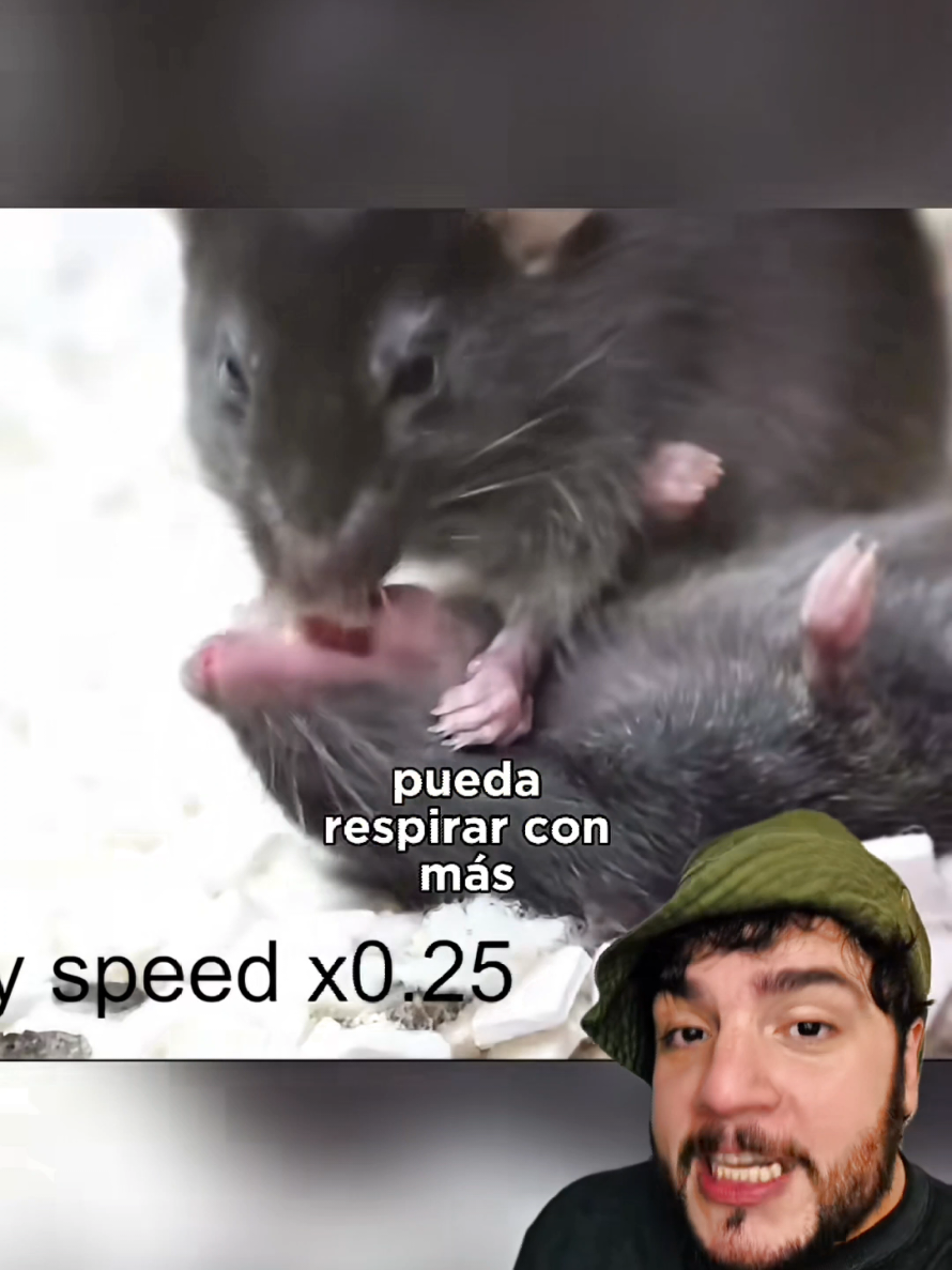 @Animaldex