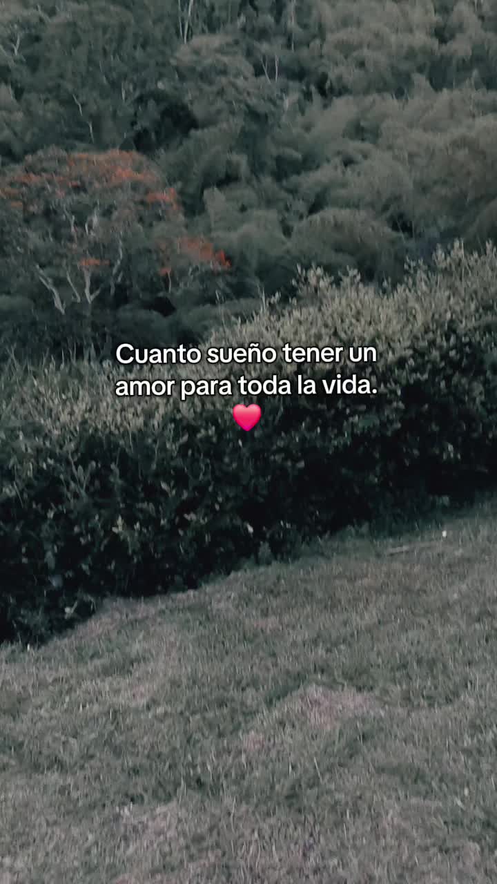 @Ander Herrera