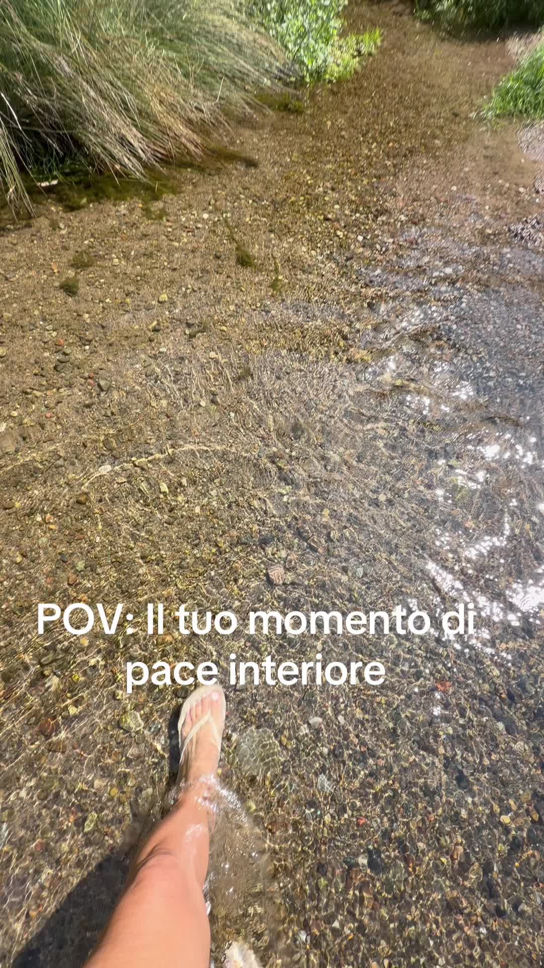 @Raffaellacremonesi