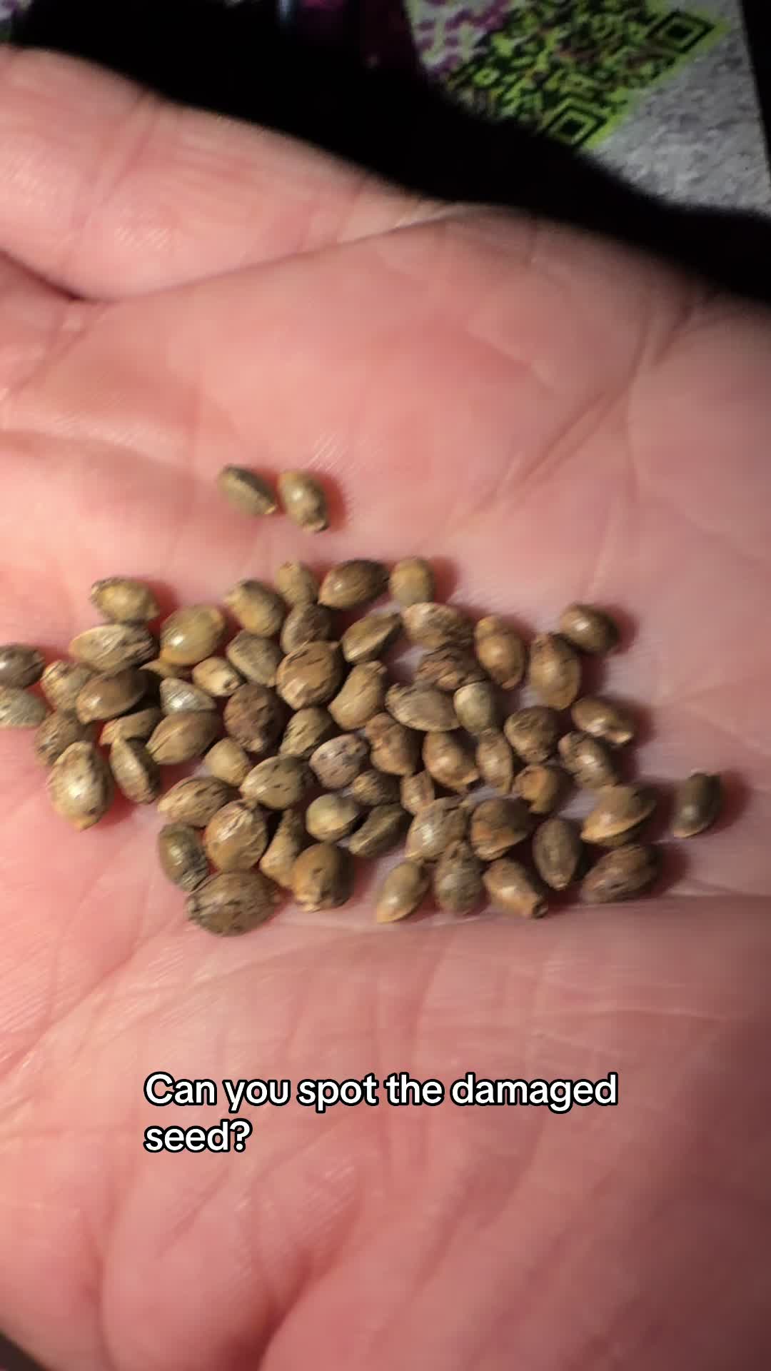 @SEEDTIVA