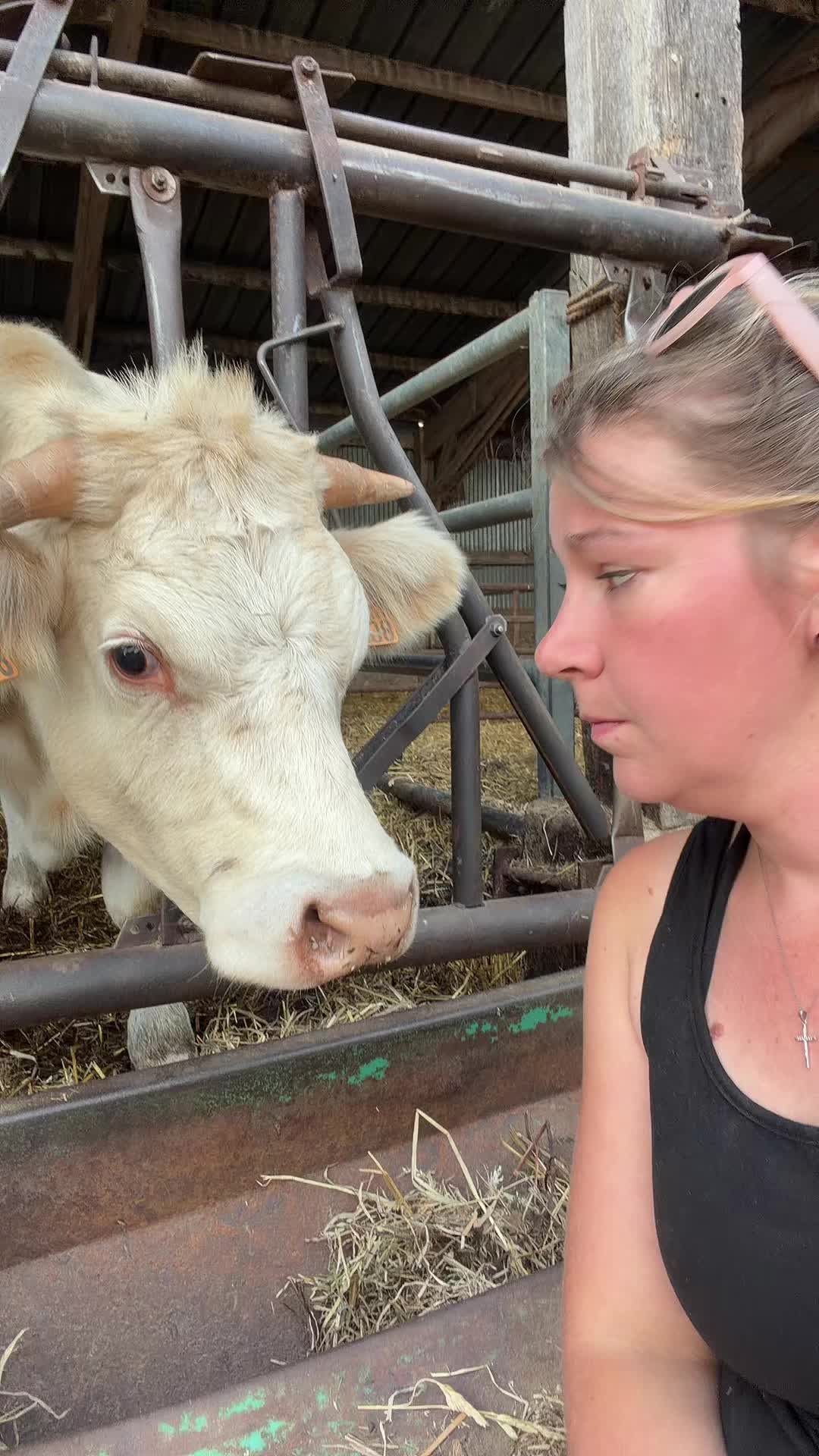 @ᏦᎥᎥᏦᏗᏗ 🌾🚜🐮