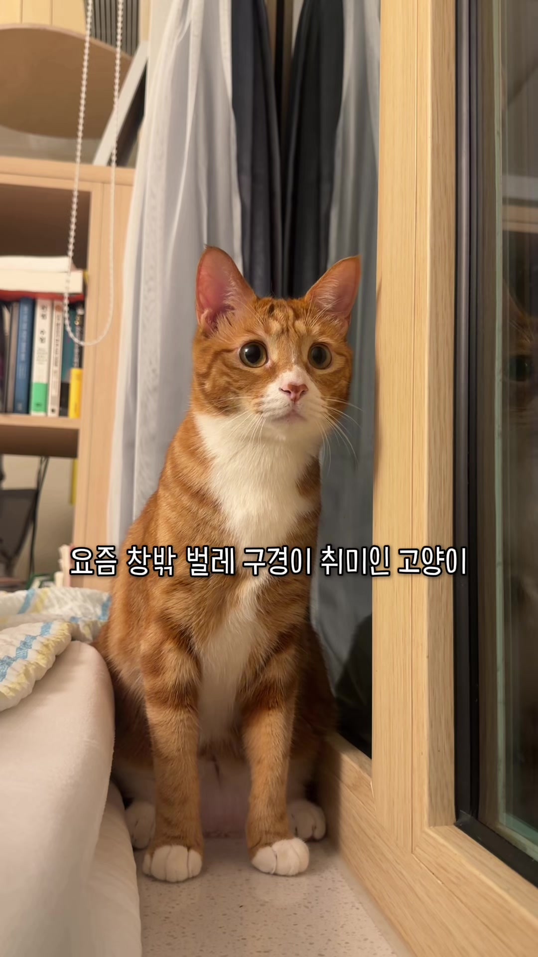 @뮤춘삼