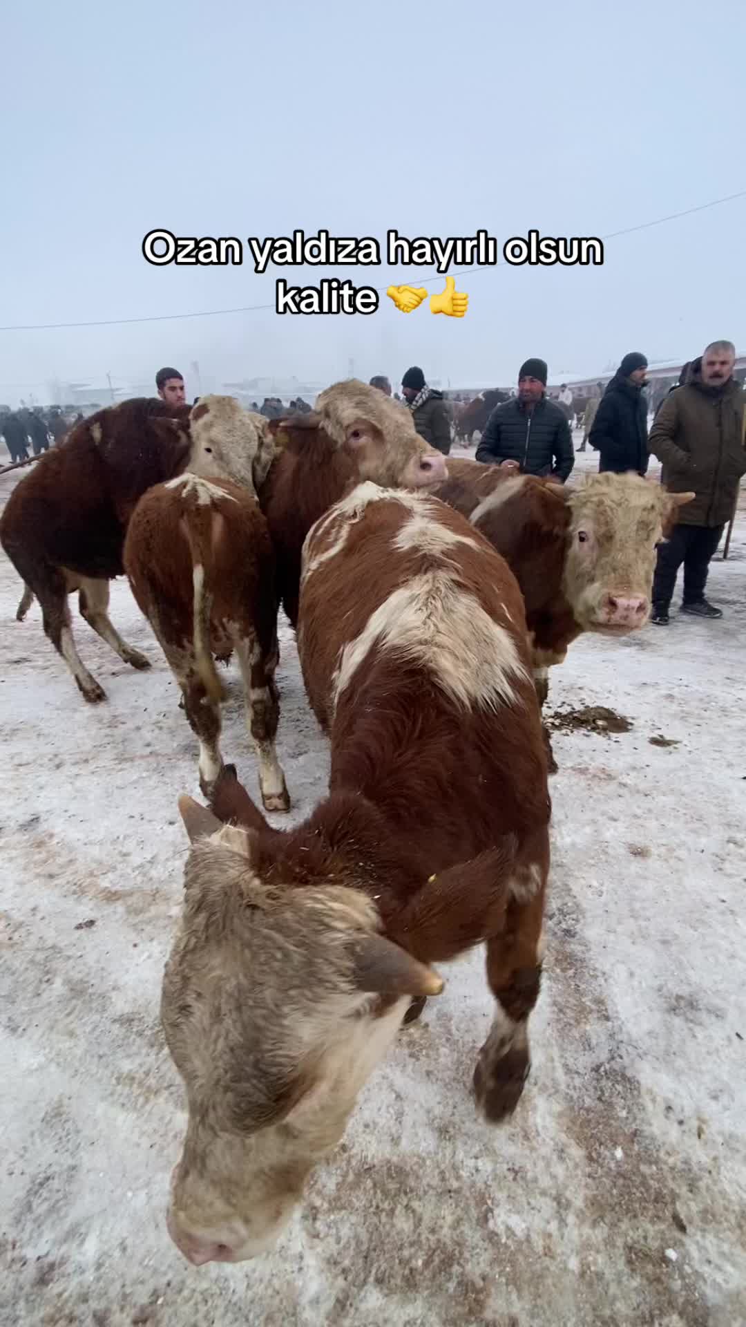 @yusuf yıldırım 04
