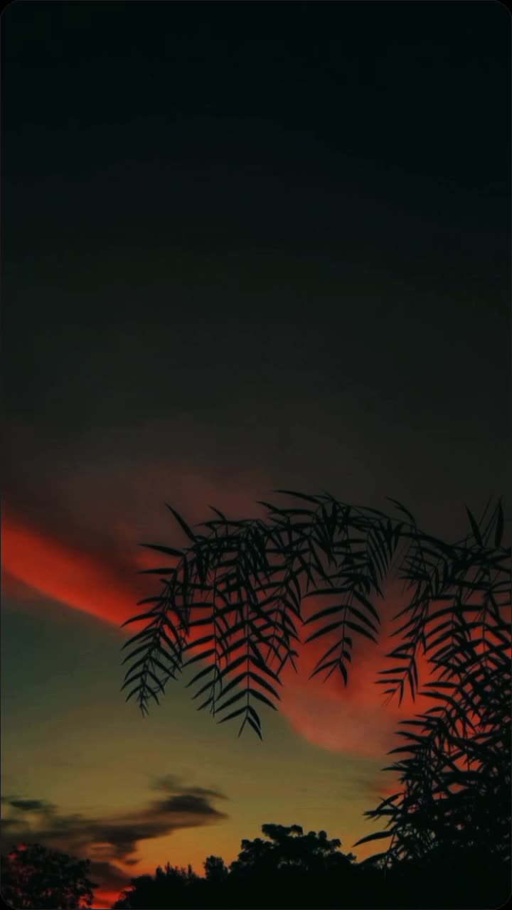 @☻︎☹︎❦︎