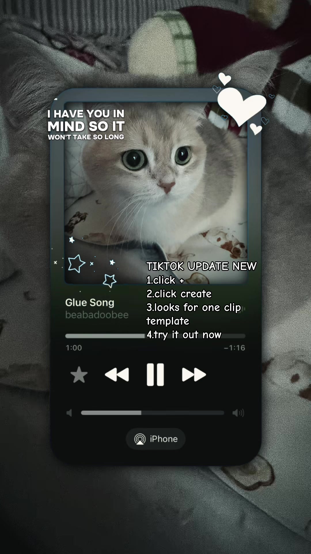@catloveronthego