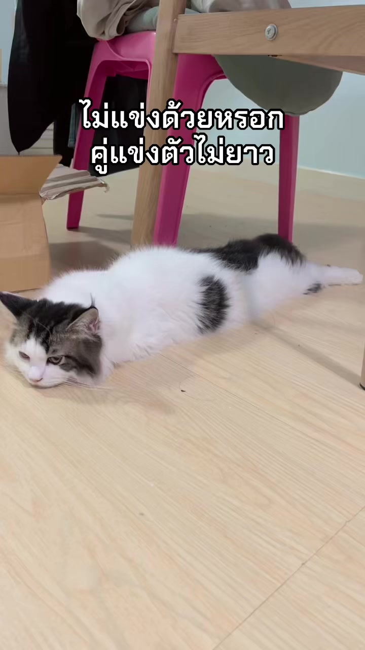 @MJ