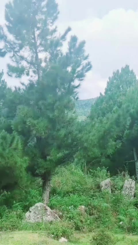 @POBSI DELISERDANG