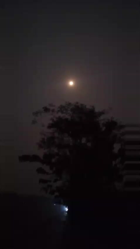 @아즈하르 𓆩♡𓆪