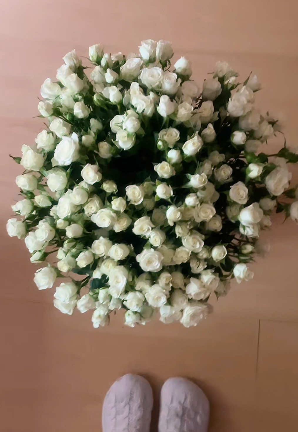 @𝑷𝒐𝒍𝒍𝒚