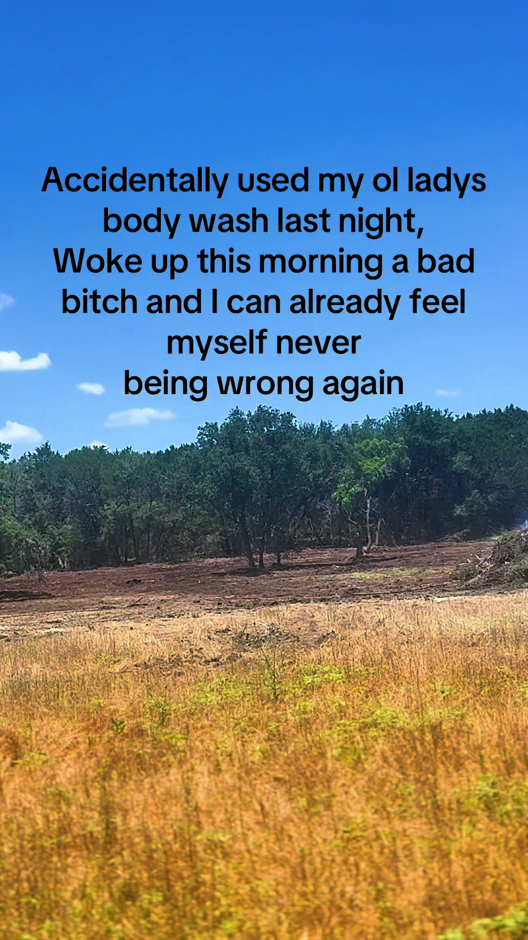 @Superior Lawn and Tree